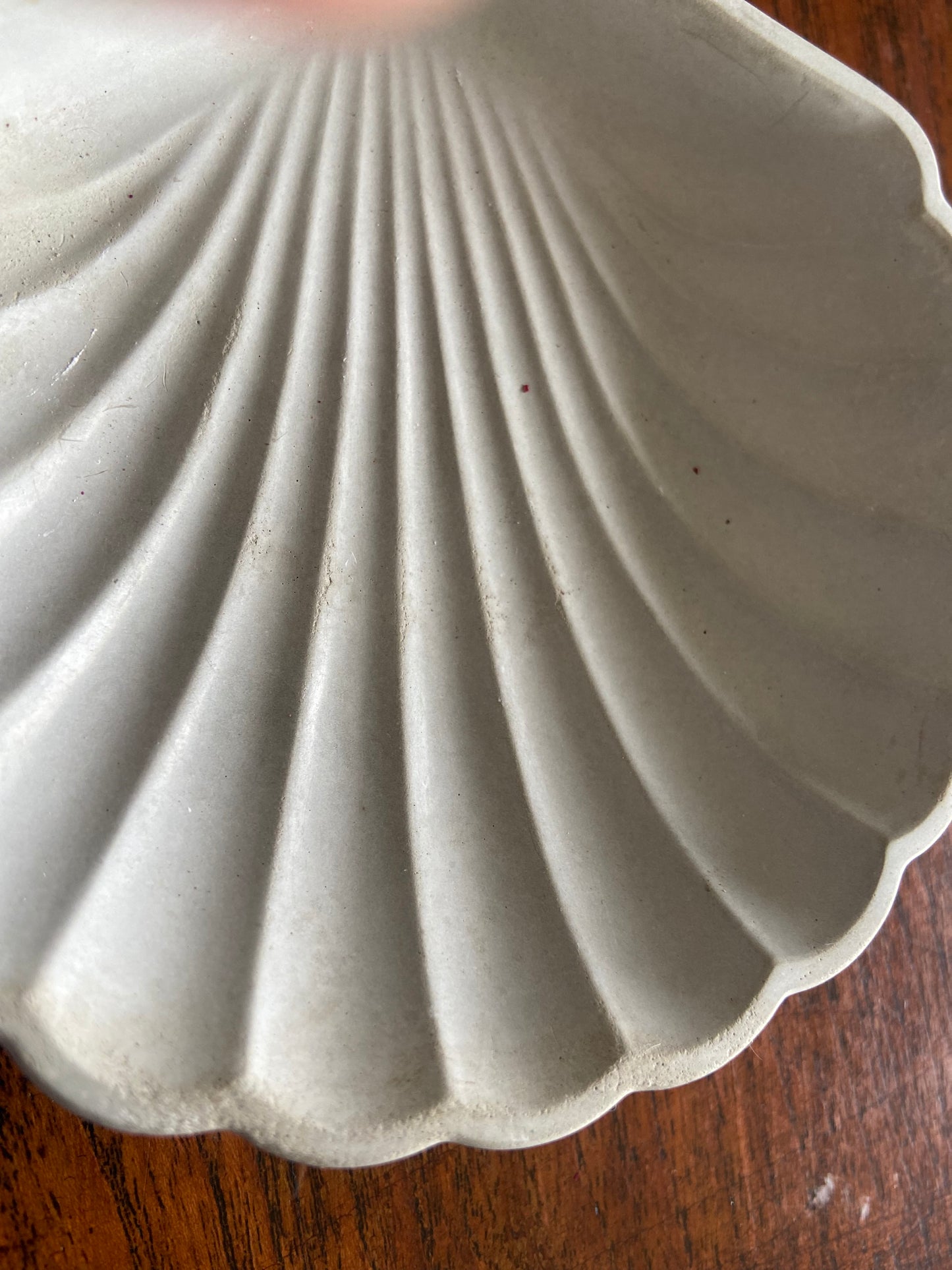 Handcast Shell trinket dish