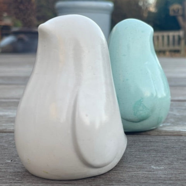 White and Turquoise penguin. Turquoise back side view, white front side view