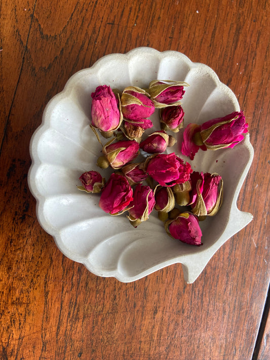 Handcast Shell trinket dish
